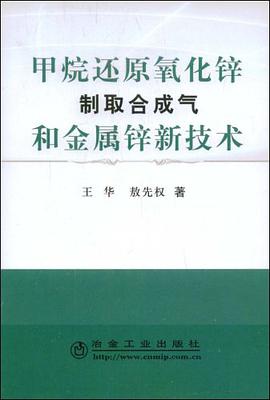 甲烷还原氧化锌制取合成气和金属锌新技术 pdf epub mobi 电子书 下载