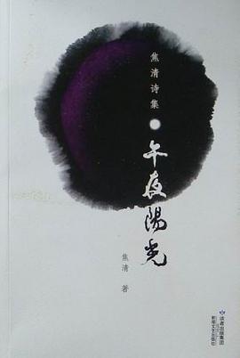 午夜阳光 pdf epub mobi 电子书 下载