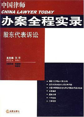 中国律师办案全程实录 pdf epub mobi 电子书 下载