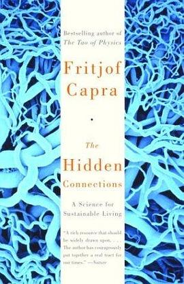 The Hidden Connections pdf epub mobi 电子书 下载