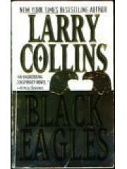 Black Eagles pdf epub mobi 下载