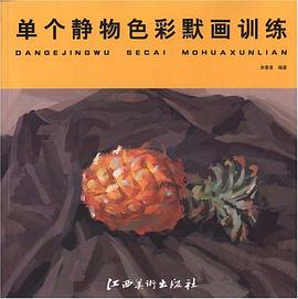 單個靜物色彩默畫訓練
