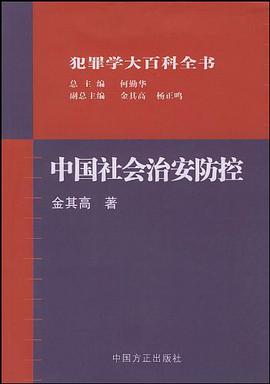 中国社会治安防控 pdf epub mobi 电子书 下载