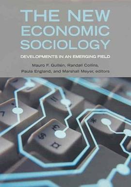 The New Economic Sociology pdf epub mobi 电子书 下载
