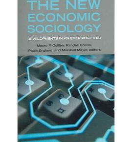 The New Economic Sociology pdf epub mobi 电子书 下载