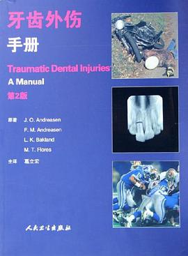 牙齿外伤手册 pdf epub mobi 电子书 下载