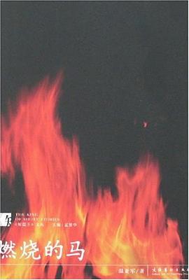 燃烧的马 pdf epub mobi 电子书 下载