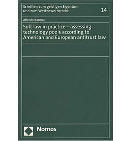 Soft Law in Practice pdf epub mobi 电子书 下载