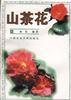 山茶花 pdf epub mobi 电子书 下载