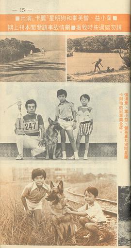 医家兄弟(10DVD) pdf epub mobi 电子书 下载