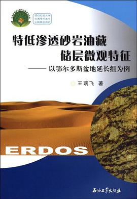 特低渗透砂岩油藏储层微观特征 pdf epub mobi 电子书 下载