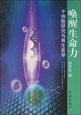 唤醒生命力 pdf epub mobi 电子书 下载