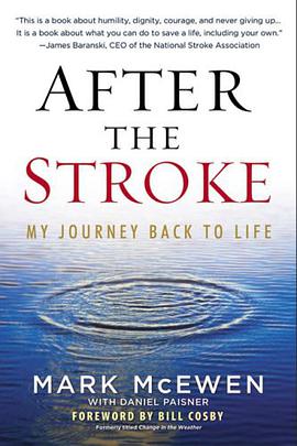 After the Stroke pdf epub mobi 电子书 下载