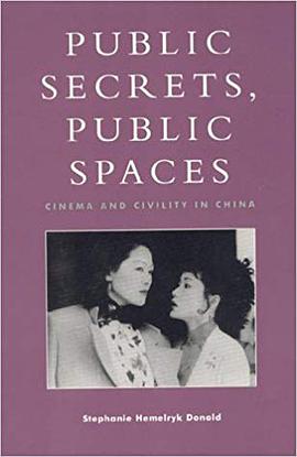Public Secrets, Public Spaces pdf epub mobi 电子书 下载
