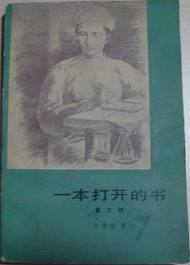 一本打开的书 pdf epub mobi 电子书 下载
