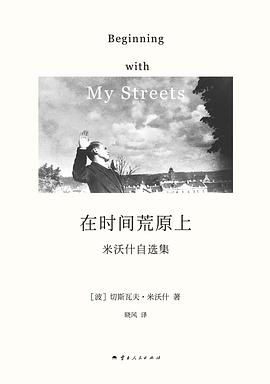 在时间荒原上 pdf epub mobi 电子书 下载