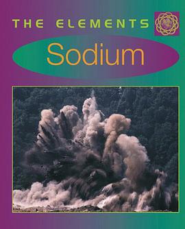 Sodium pdf epub mobi 电子书 下载