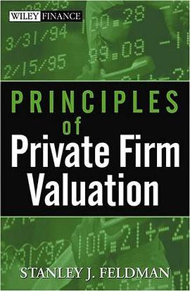Principles of Private Firm Valuation (Wiley Finance) pdf epub mobi 电子书 下载