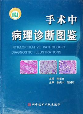 手术中病理诊断图鉴 pdf epub mobi 电子书 下载
