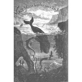 20000 Leagues Under the Sea pdf epub mobi 电子书 下载