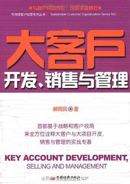 大客户开发、销售与管理 pdf epub mobi 电子书 下载