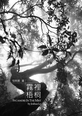 霧裡梧桐 pdf epub mobi 电子书 下载