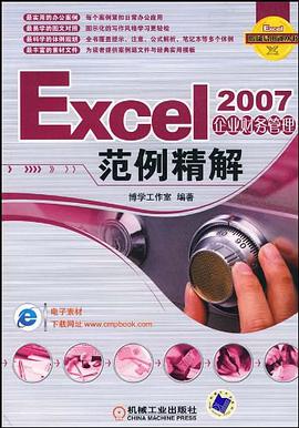 Excel 2007企业财务管理范例精解