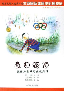 麦田跑道 pdf epub mobi 电子书 下载