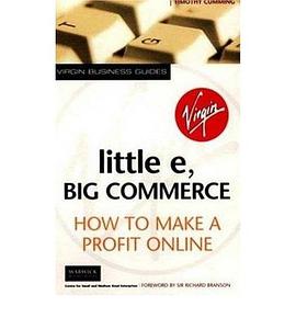 Little E, Big Commerce: How to Make a Profit Online pdf epub mobi 电子书 下载