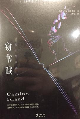 窃书贼 pdf epub mobi 电子书 下载