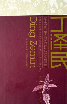 丁泽民学术思想与临证经验研究 pdf epub mobi 电子书 下载