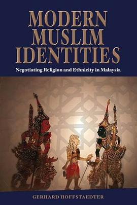 Modern Muslim Identities pdf epub mobi 电子书 下载