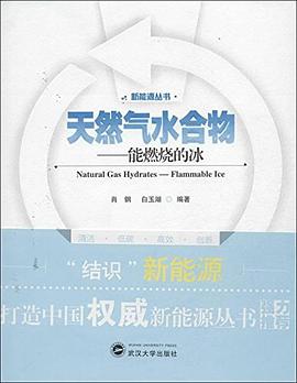 新能源丛书·天然气水合物