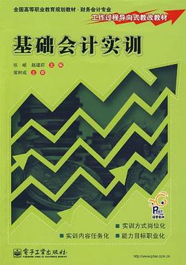 基础会计实训 pdf epub mobi 电子书 下载