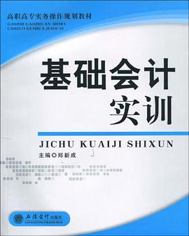 基础会计实训 pdf epub mobi 电子书 下载