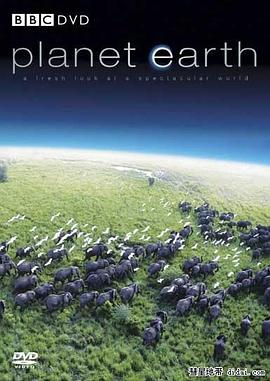 地球命运在你手(DVD)