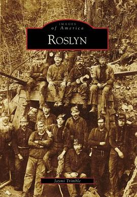 Roslyn pdf epub mobi 電子書 下載