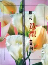 插花造型100例 pdf epub mobi 电子书 下载