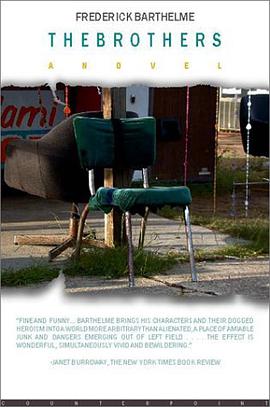 The Brothers pdf epub mobi 电子书 下载