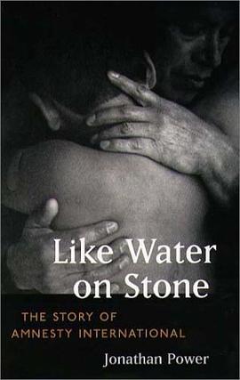 Like Water on Stone pdf epub mobi 下载