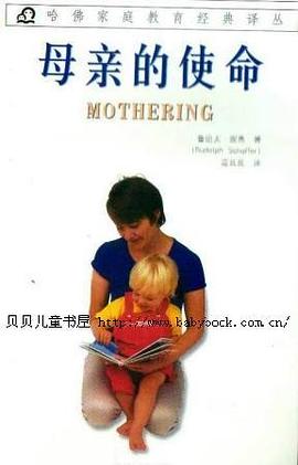 母亲的使命 pdf epub mobi 电子书 下载
