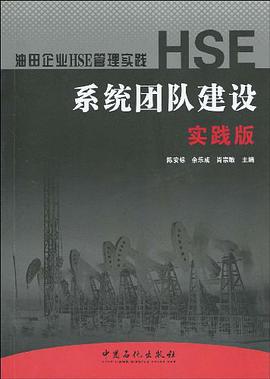 HSE系统团队建设·实践版 pdf epub mobi 电子书 下载