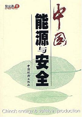中国能源与安全 pdf epub mobi 电子书 下载