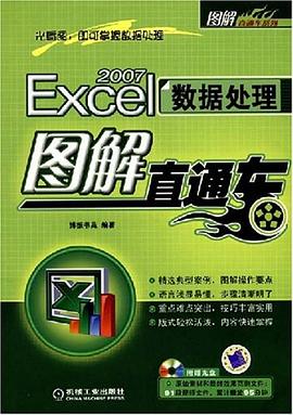 Excel2007数据处理图解直通车 pdf epub mobi 电子书 下载