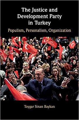 The Justice and Development Party in Turkey pdf epub mobi 电子书 下载
