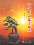 当代广西盆景精选 pdf epub mobi 电子书 下载