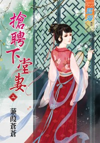 抢聘下堂妻 pdf epub mobi 电子书 下载