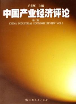中国产业经济评论 pdf epub mobi 电子书 下载