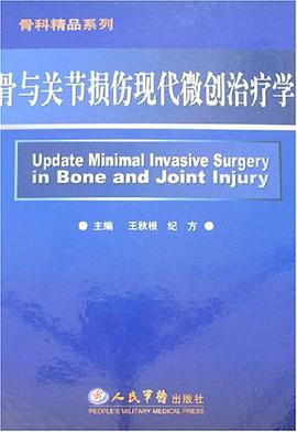 骨与关节损伤现代微创治疗学 pdf epub mobi 电子书 下载