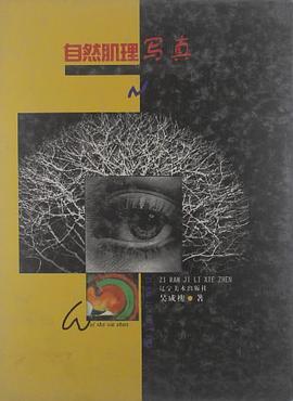 自然肌理写真 pdf epub mobi 电子书 下载